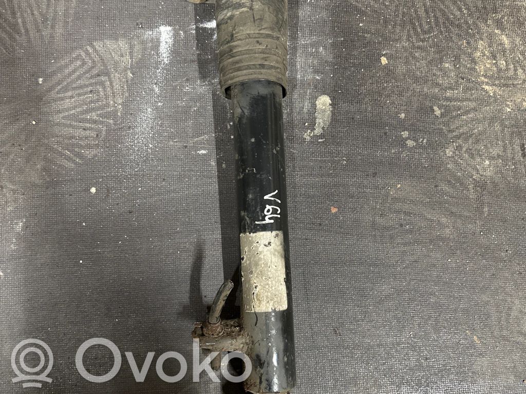 BMW X5 E70 Rear shock absorber/damper 