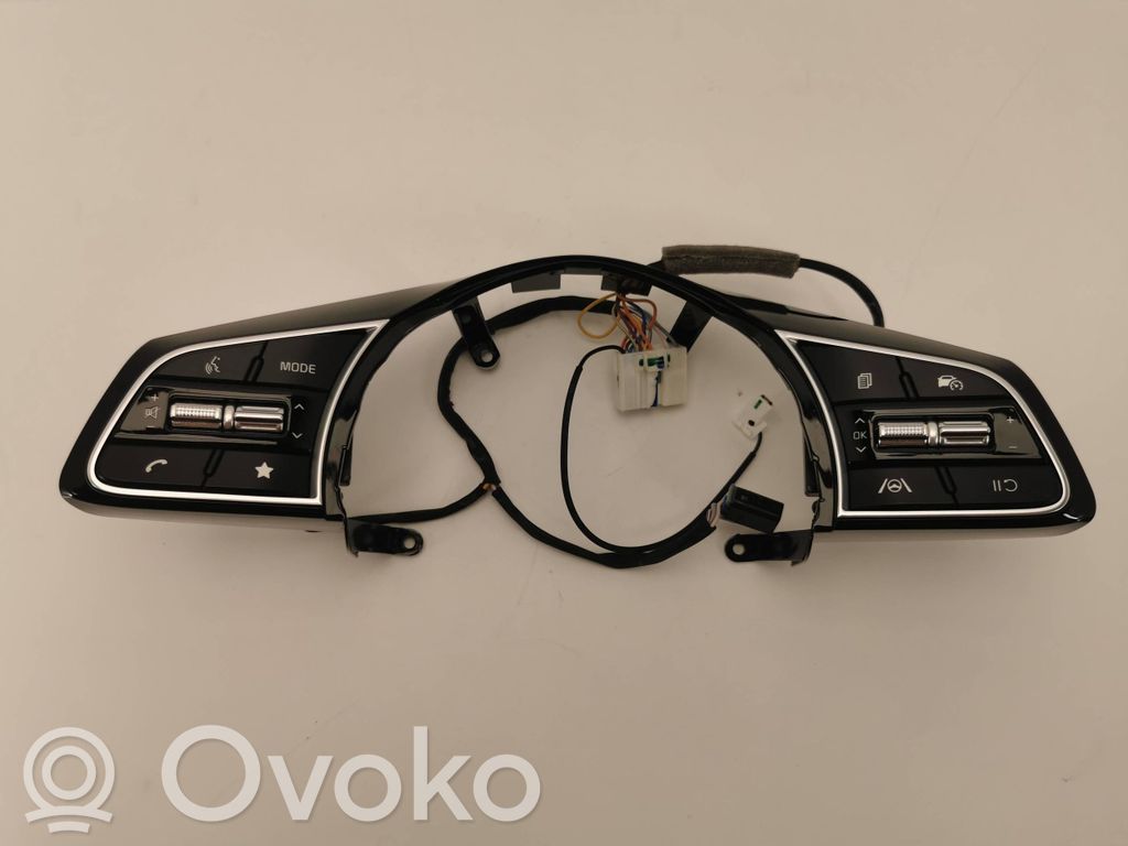 Volant   96700M6975,4K1R4H1000,20220704006