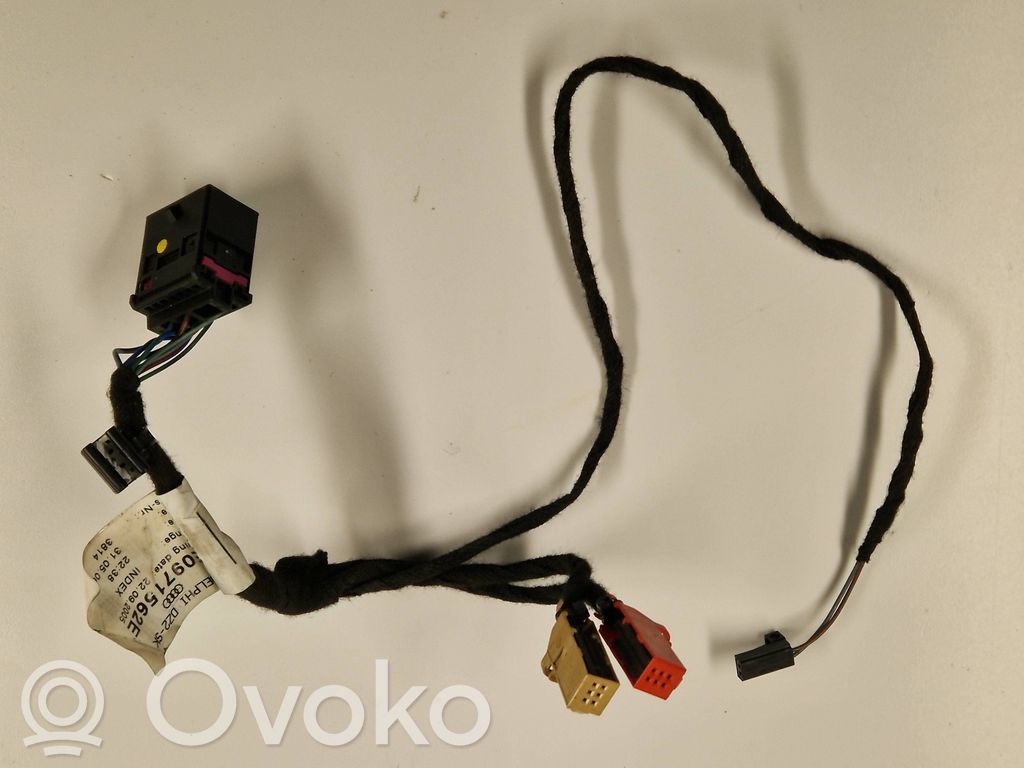 Front door wiring loom   4E0971562E
