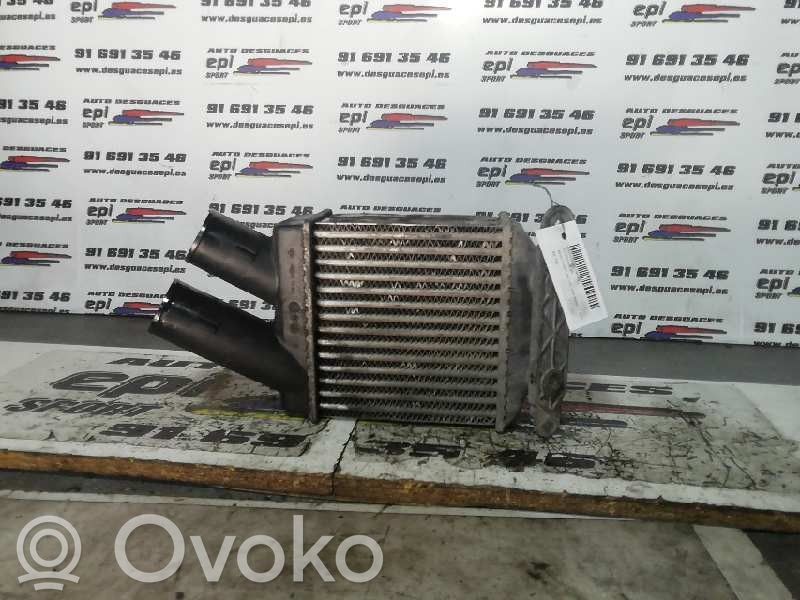 Intercooler radiator