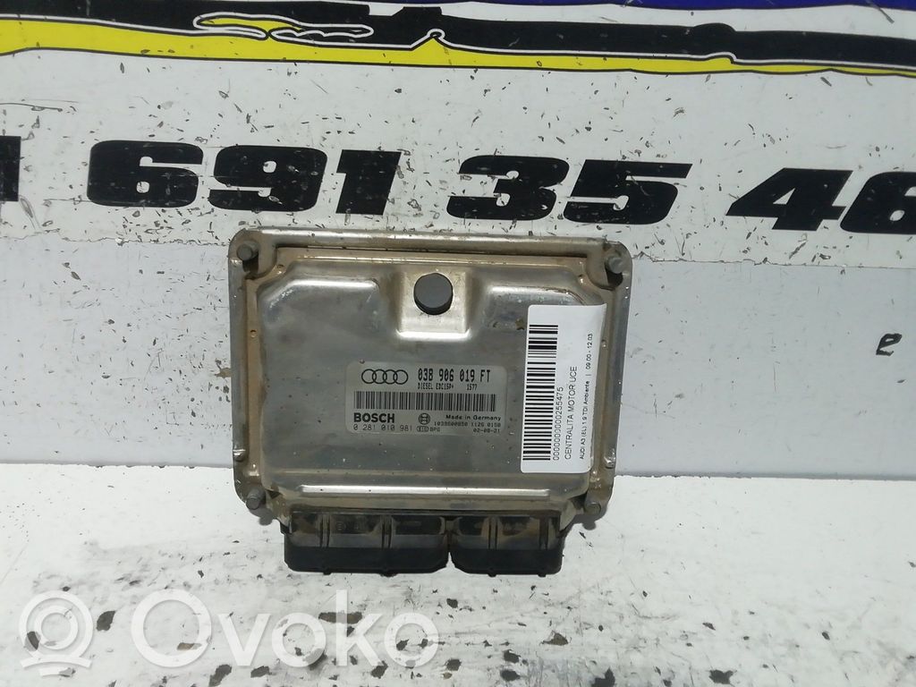 Unidad de control/módulo del motor   0281010981,038906019FT