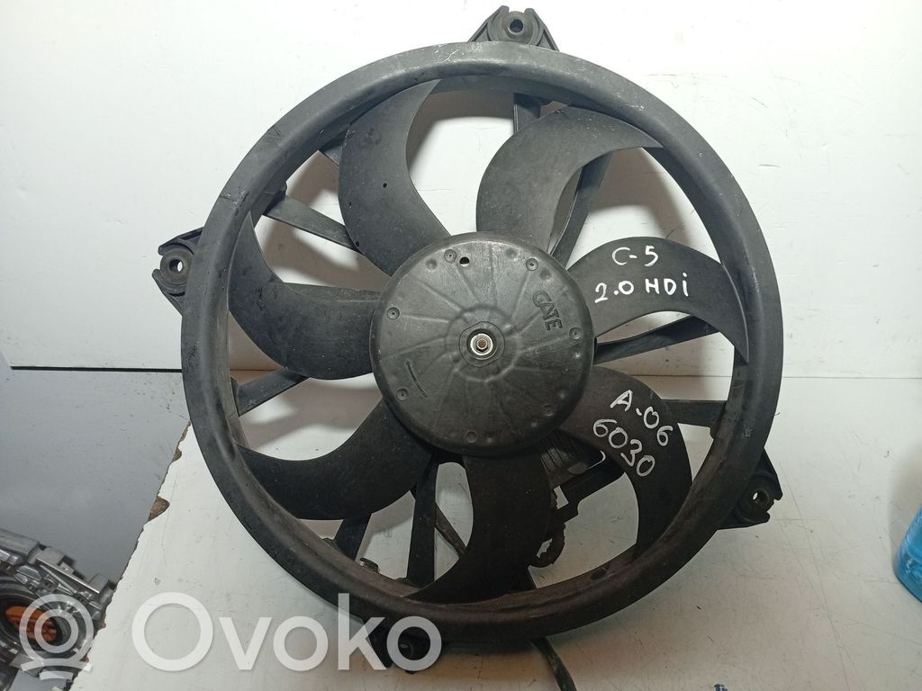 Citroen C5 Ventilador eléctrico del radiador 