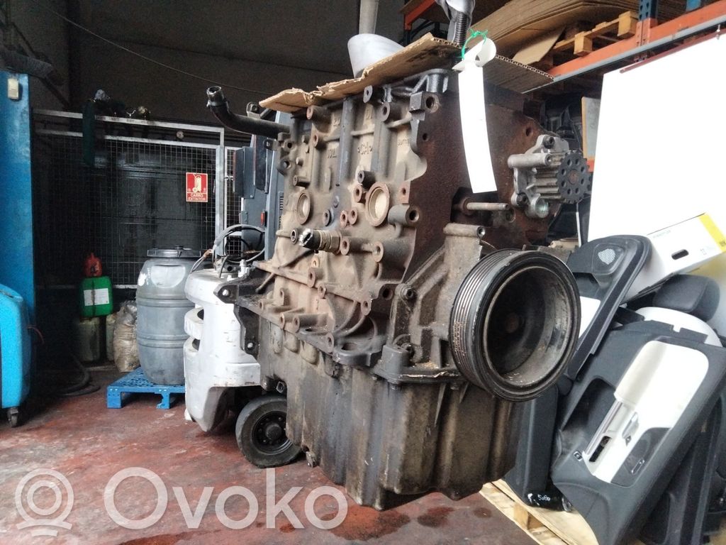 Volkswagen Multivan T5 Bloc motor 