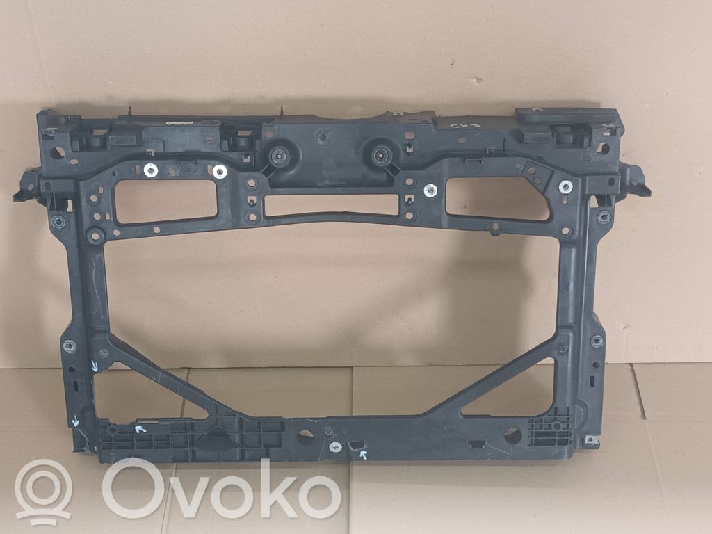 Radiatoru panelis   D09H53110