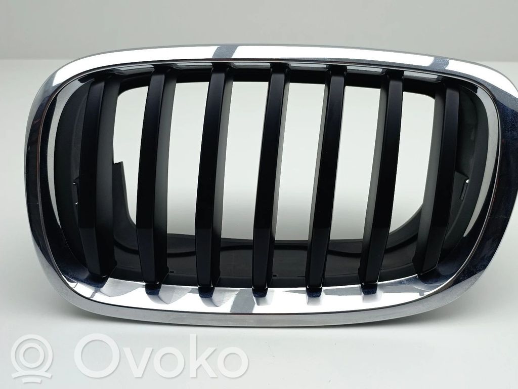 BMW X5M E70 Front grill 