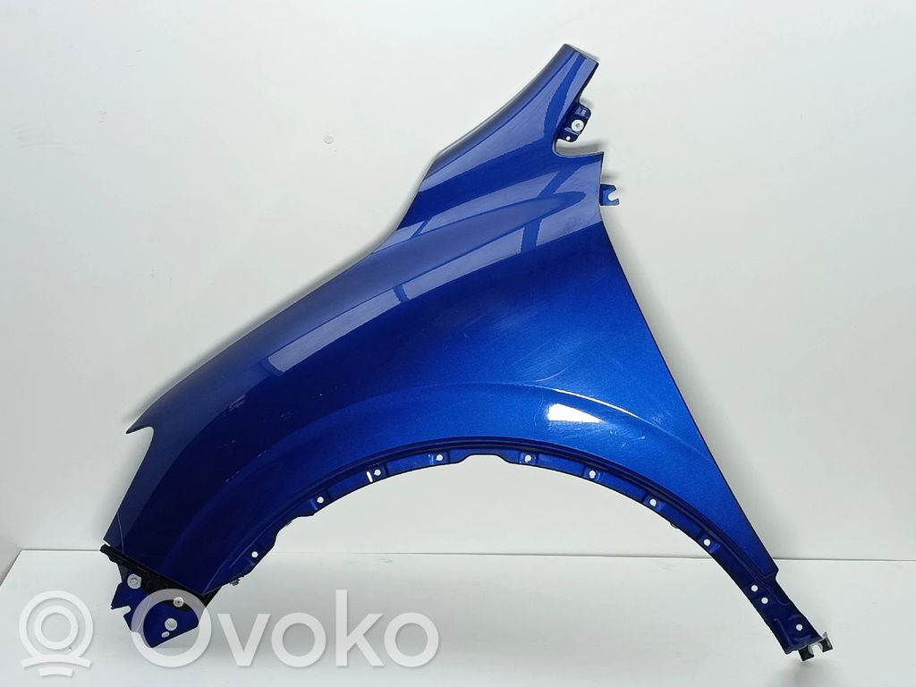 Renault Kadjar Fender 