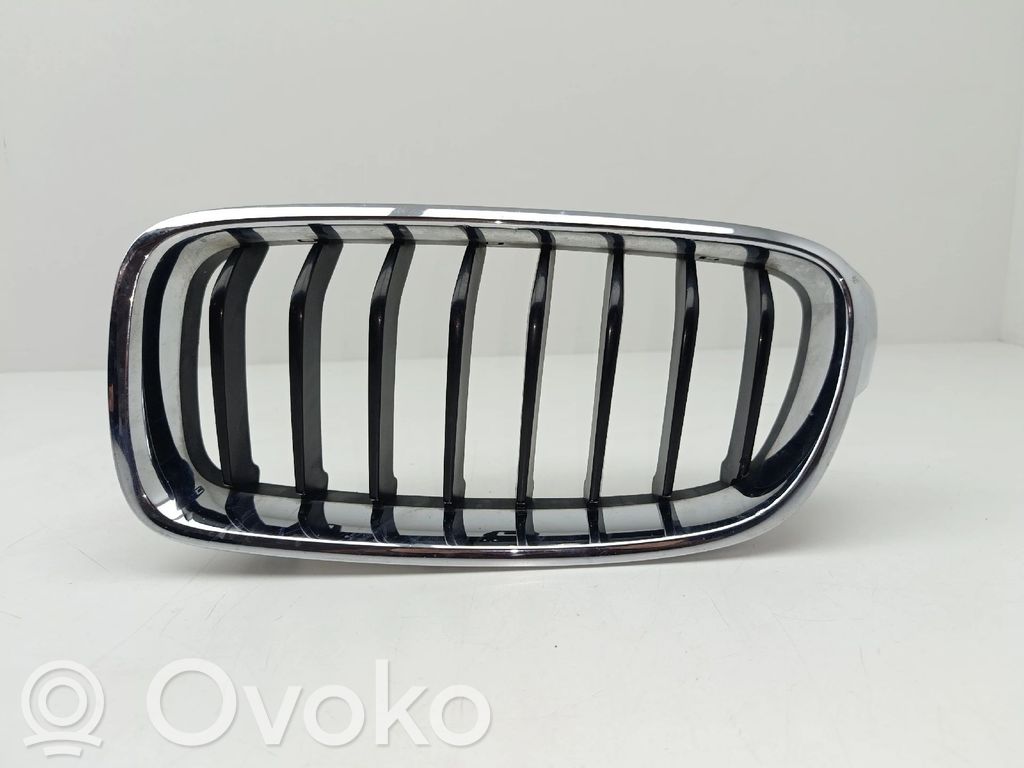 Front grill   51137255411