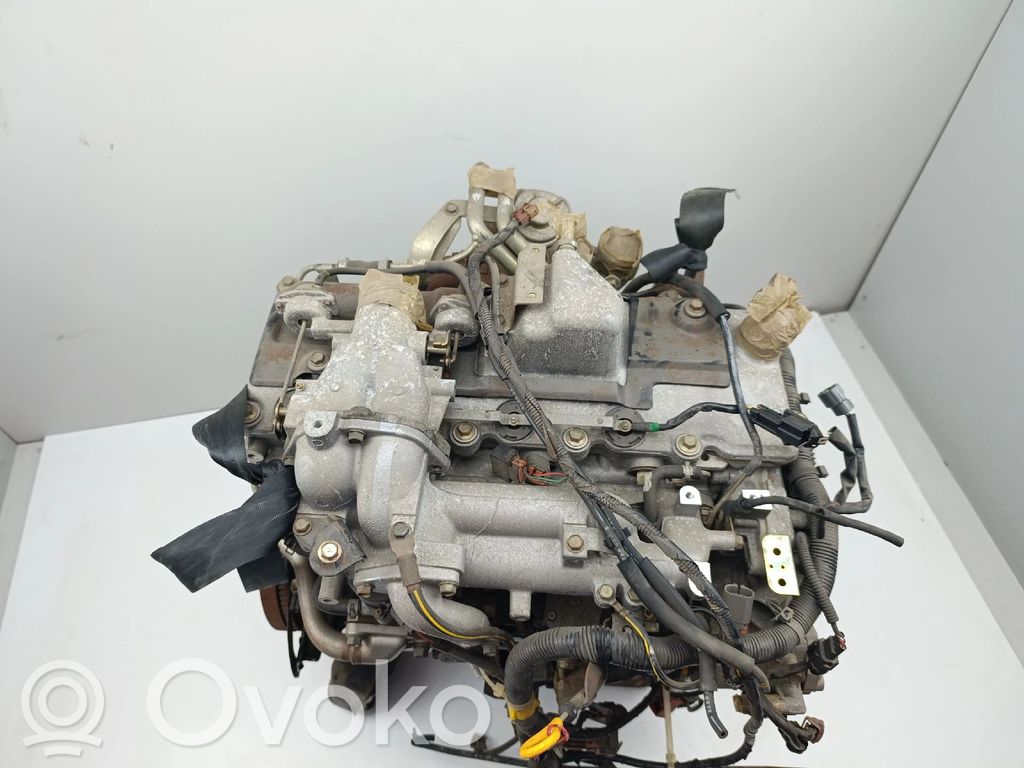 Motor   ZD30