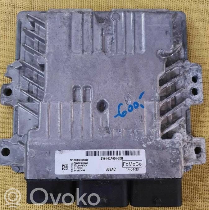 Ford Focus Engine control unit/module ECU 