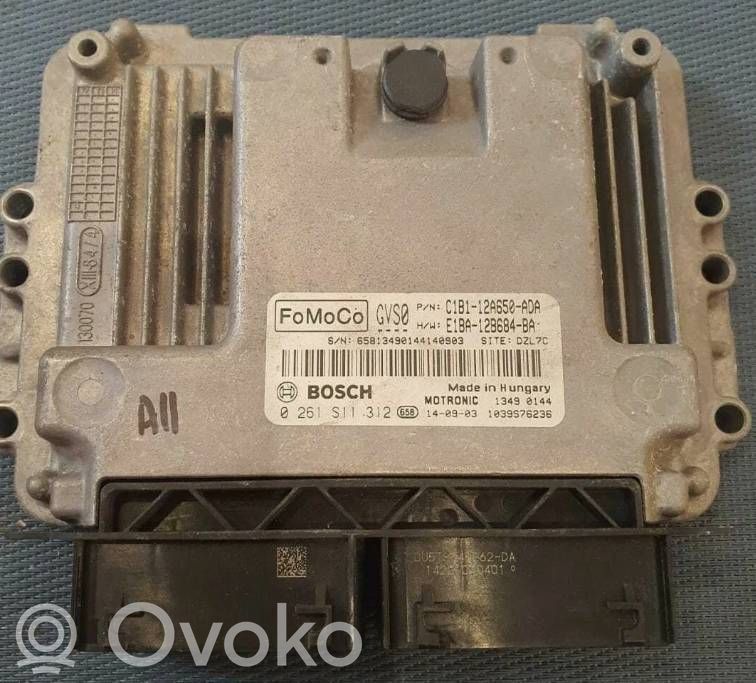 Ford Fiesta Engine control unit/module 
