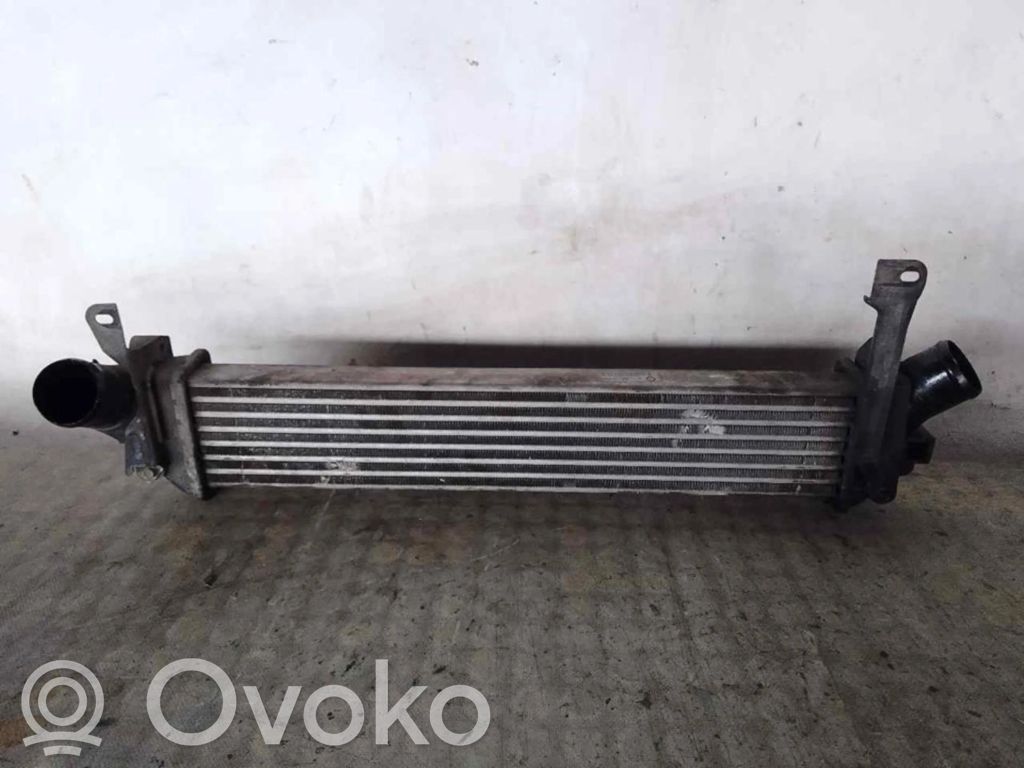 Välijäähdyttimen jäähdytin   8200221885