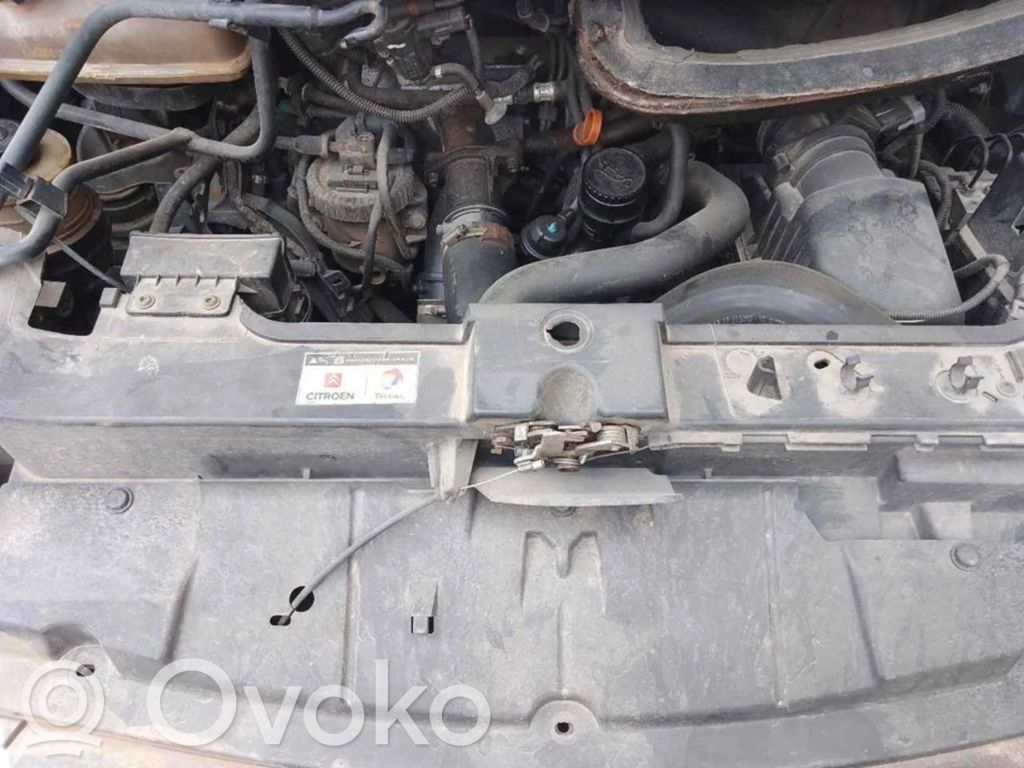 Citroen C3 Fuel tank filler cap 