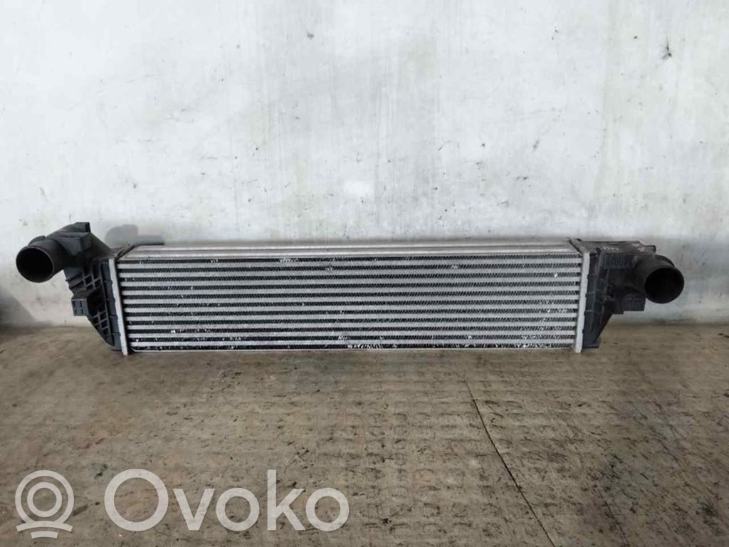 Interkūlerio radiatorius   8200301883B