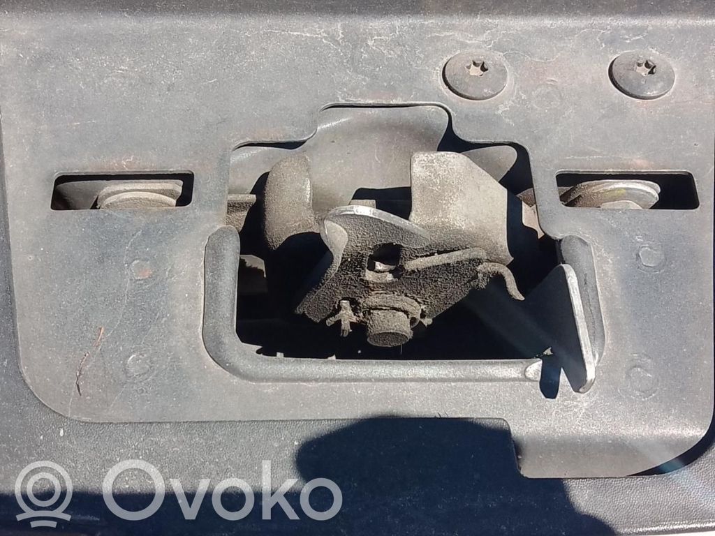 Tie down hook / loop   6001547332