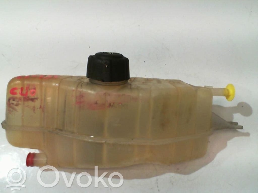 Renault Clio III Aušinimo skysčio išsiplėtimo bakelio dangtelis 