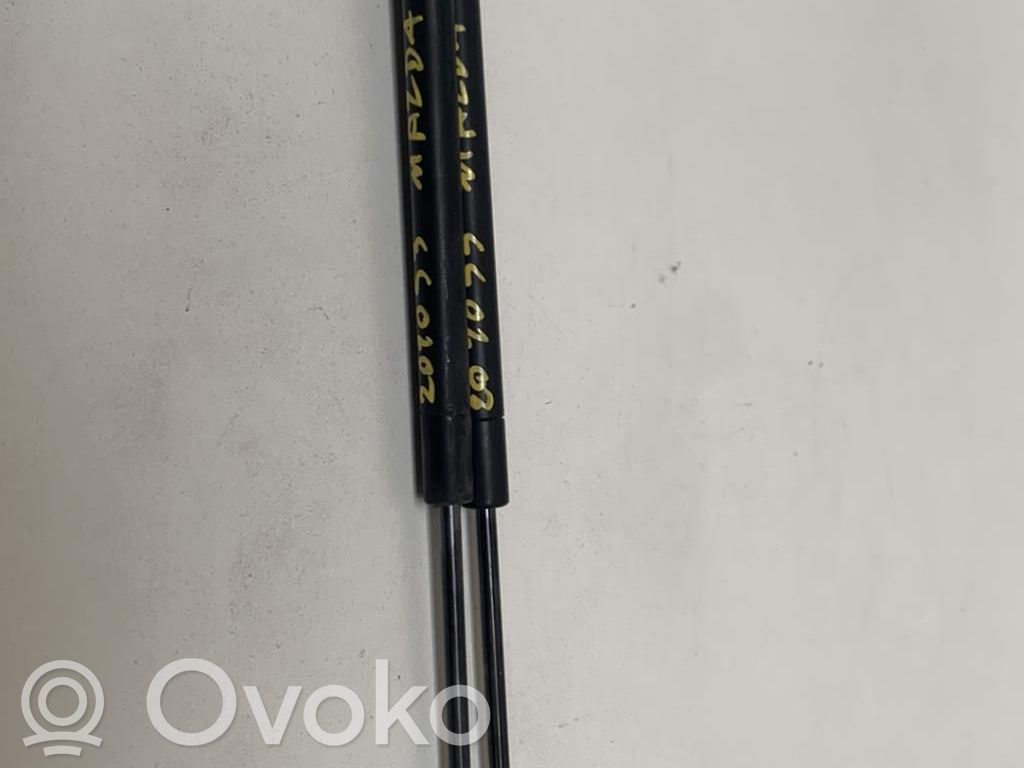 Tailgate/trunk strut/damper   DD1062620A
