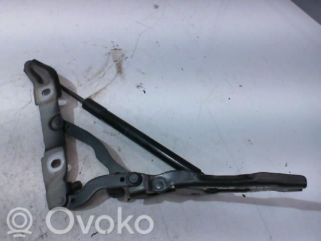BMW 1 E82 E88 Tailgate/trunk/boot hinge 