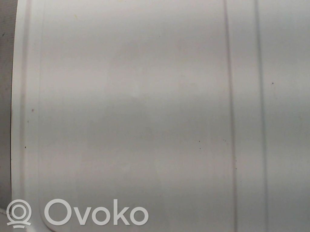 Renault Kangoo I Back/rear loading door 