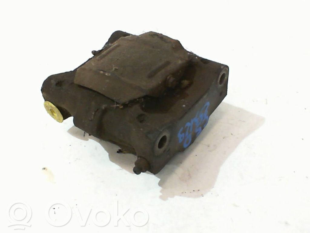 Takajarrusatula   4400L3