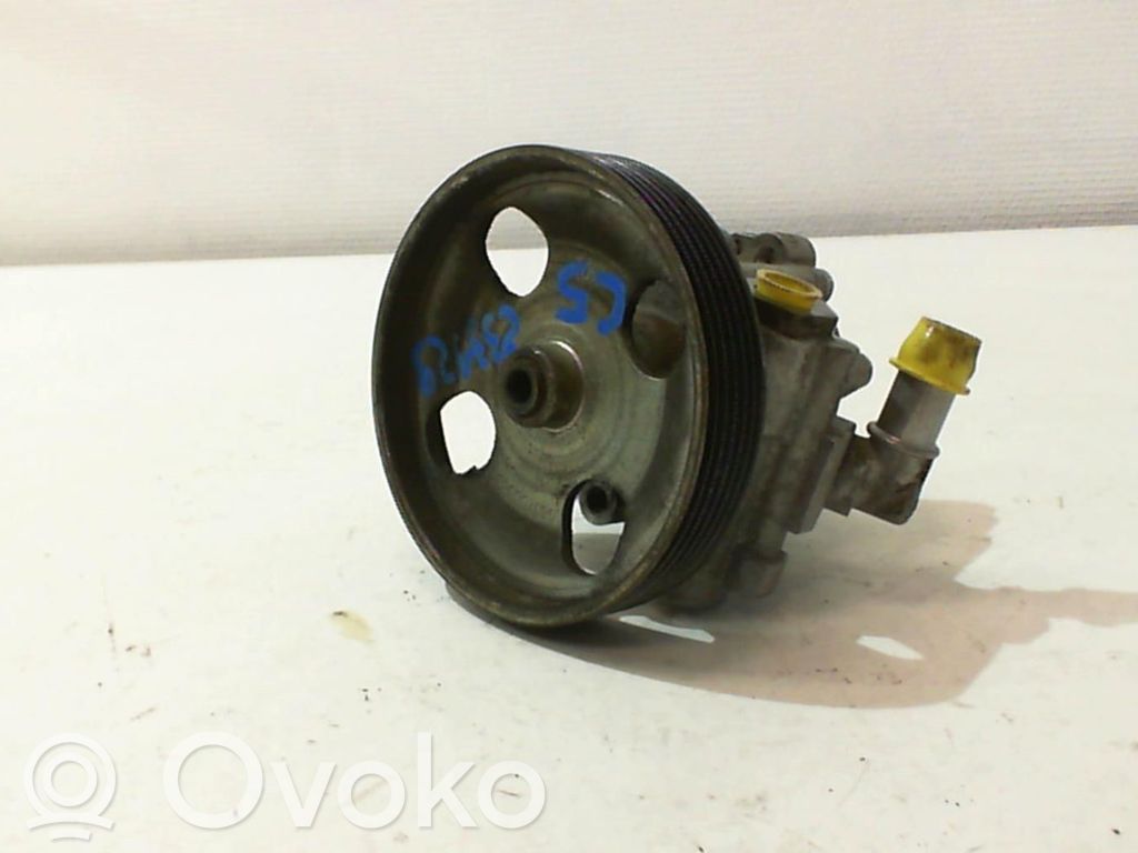 Power steering pump   40077A