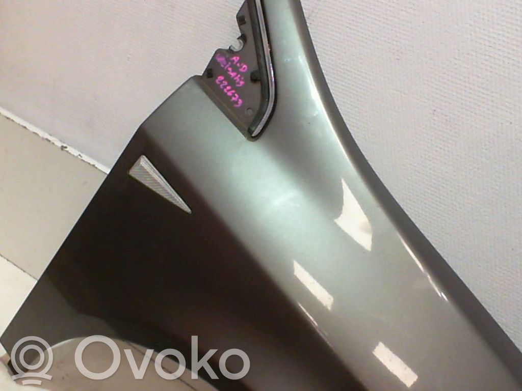 Renault Vel Satis Sparnas 