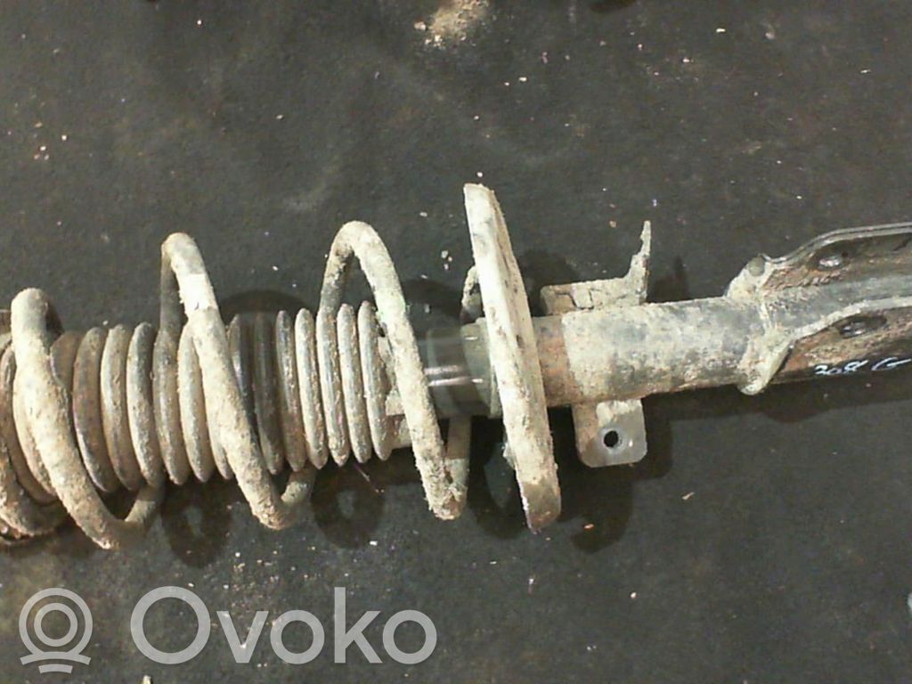 Amortyzator osi przedniej ze sprężyną   1613279080
