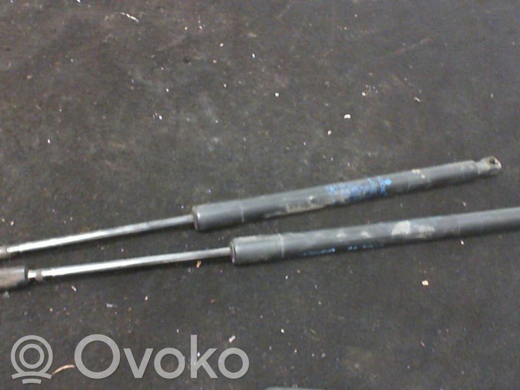 Jeep Compass Tailgate/trunk strut/damper 