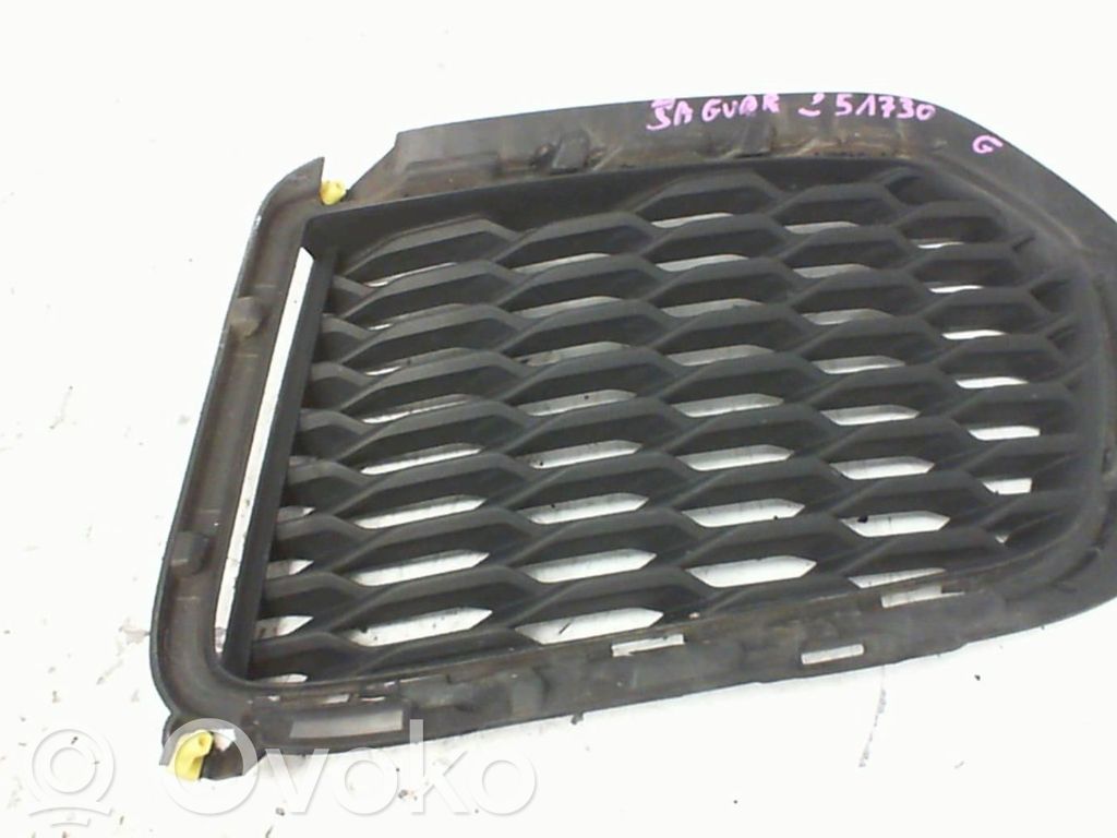 Front bumper lower grill   J9C7219