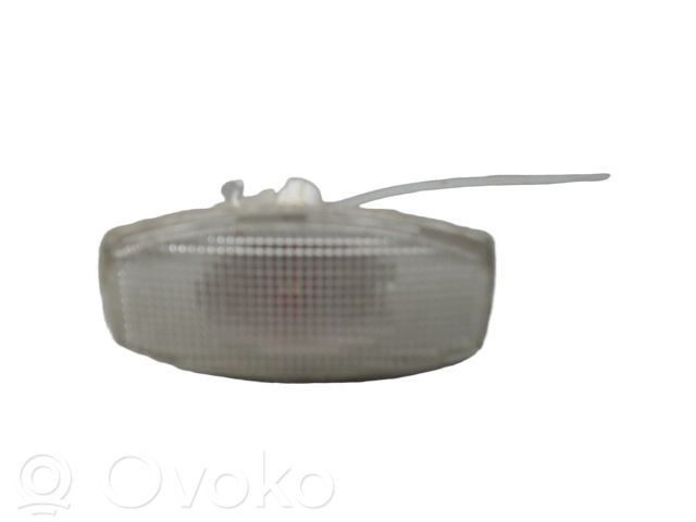Chevrolet Aveo Seitenblinker 