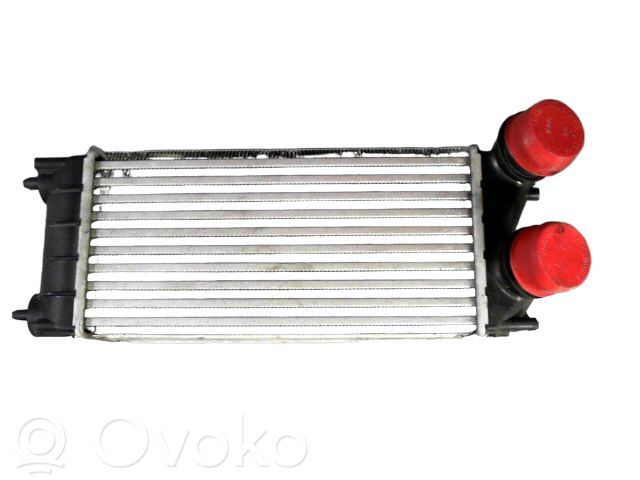 Interkūlerio radiatorius   0384N9,0090180009,0090180010,0090180012,0384F6,0384G4,0384L9,0384N9,067008N,07033015,105528,144105C,2066557,30281,30479,351319200213,40004343,706032,807M39A,9636635380,96814212480,9684212480,9800291280,ARD3502,PE4343,PEA4343,PRD3502,WG1723842