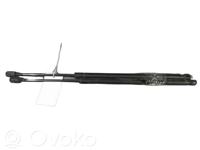 Toyota Corolla Verso AR10 Bagāžnieka amortizators 