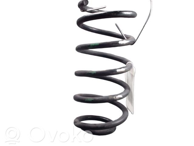Fiat Coupe Rear coil spring 