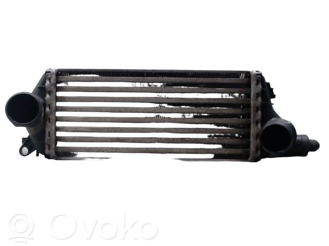 Mini One - Cooper R50 - 53 Interkūlerio radiatorius 