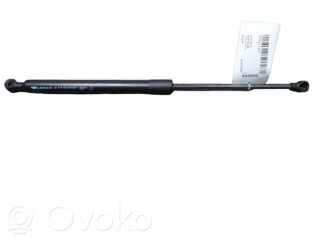 Renault Zoe Tailgate/trunk strut/damper 