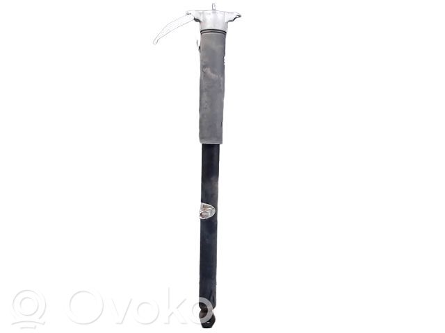 Ford C-MAX II Rear shock absorber/damper 