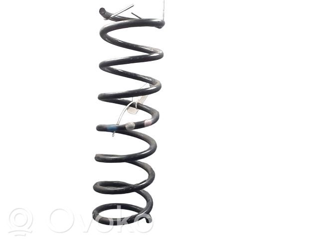 Rear coil spring   1882876,176270,1882876