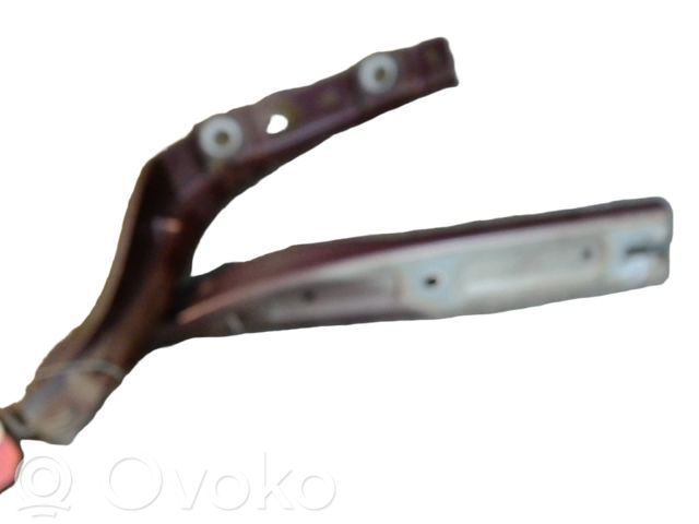 Peugeot 407 Balamale capotă 