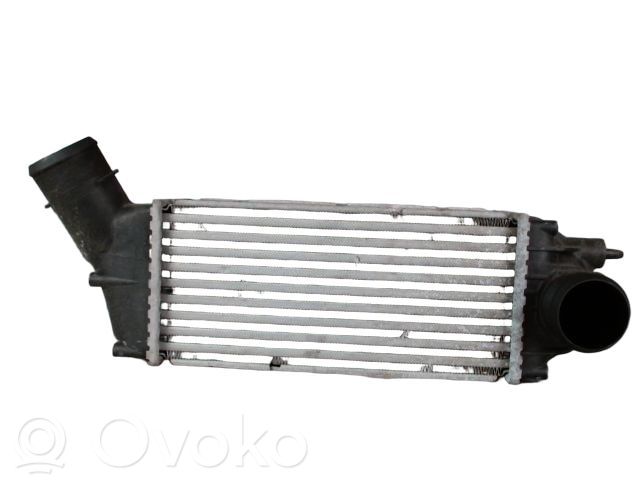 Peugeot 307 Intercooler radiator 
