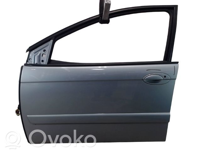 Priekinės durys   9002P1,9002P1