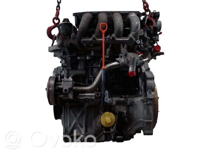 Variklis   1010565,L13Z1