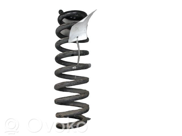 BMW X1 E84 Arc elicoidal spate 