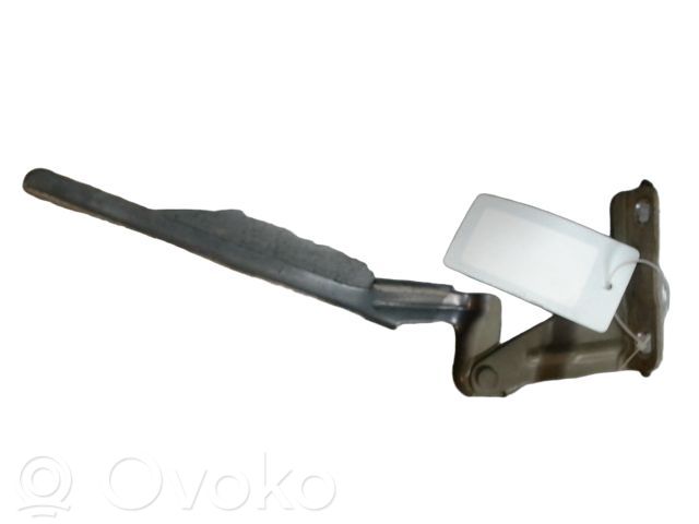 Nissan Note (E11) Dzinēja pārsega eņģe (-es) 