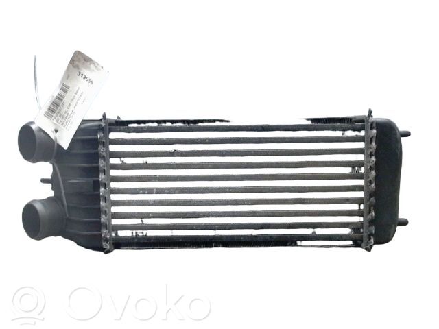 Peugeot 207 Intercooler radiator 