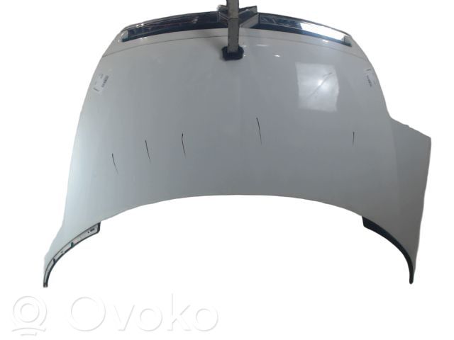 Dzinēja pārsegs (vāks)   7901N3,7901N3