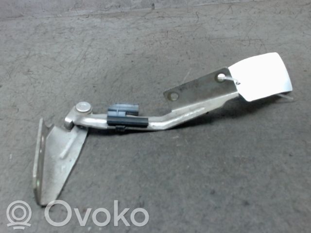 Ford Focus Engine bonnet/hood hinges 