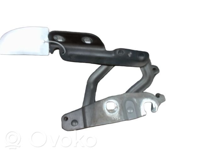 Ford Fiesta Balamale capotă 