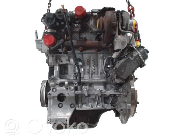 Variklis   1171899,D4164T