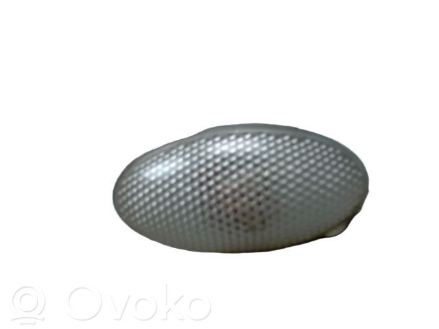 Peugeot 307 Seitenblinker 