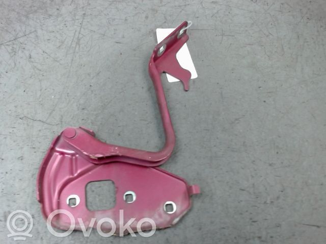 Ford Ka Dzinēja pārsega eņģe (-es) 