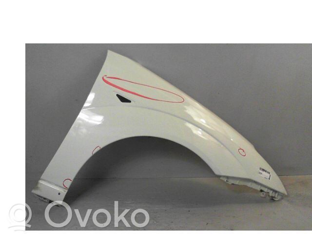 Ford Focus Guardabarro 